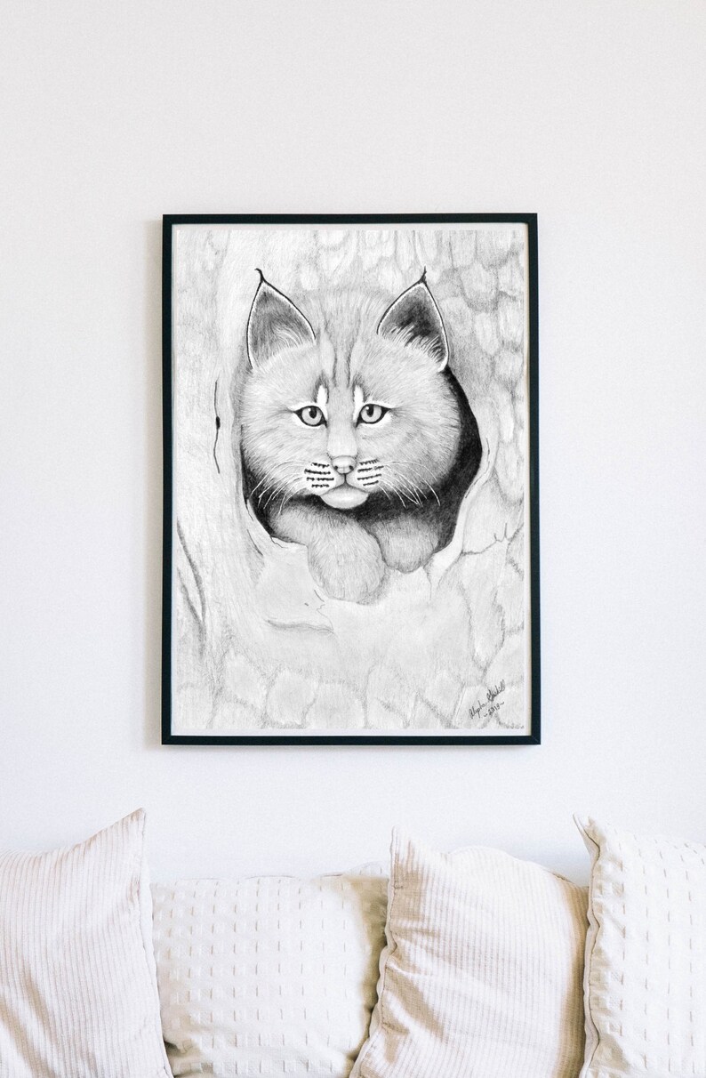 Baby Bobcat Drawing, Art Printables, Digital Download Art, Bobcat Fine ...