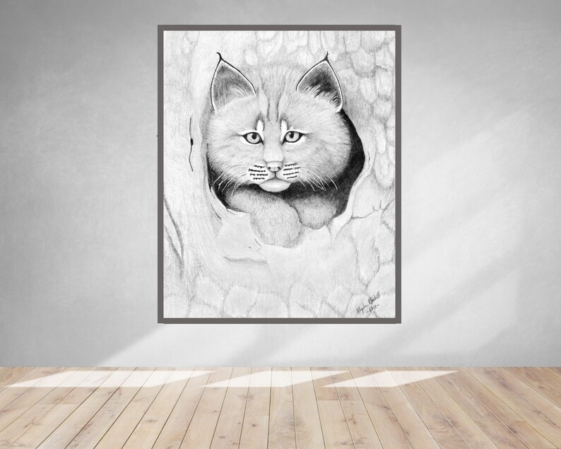 Baby Bobcat Drawing, Art Printables, Digital Download Art, Bobcat Fine ...