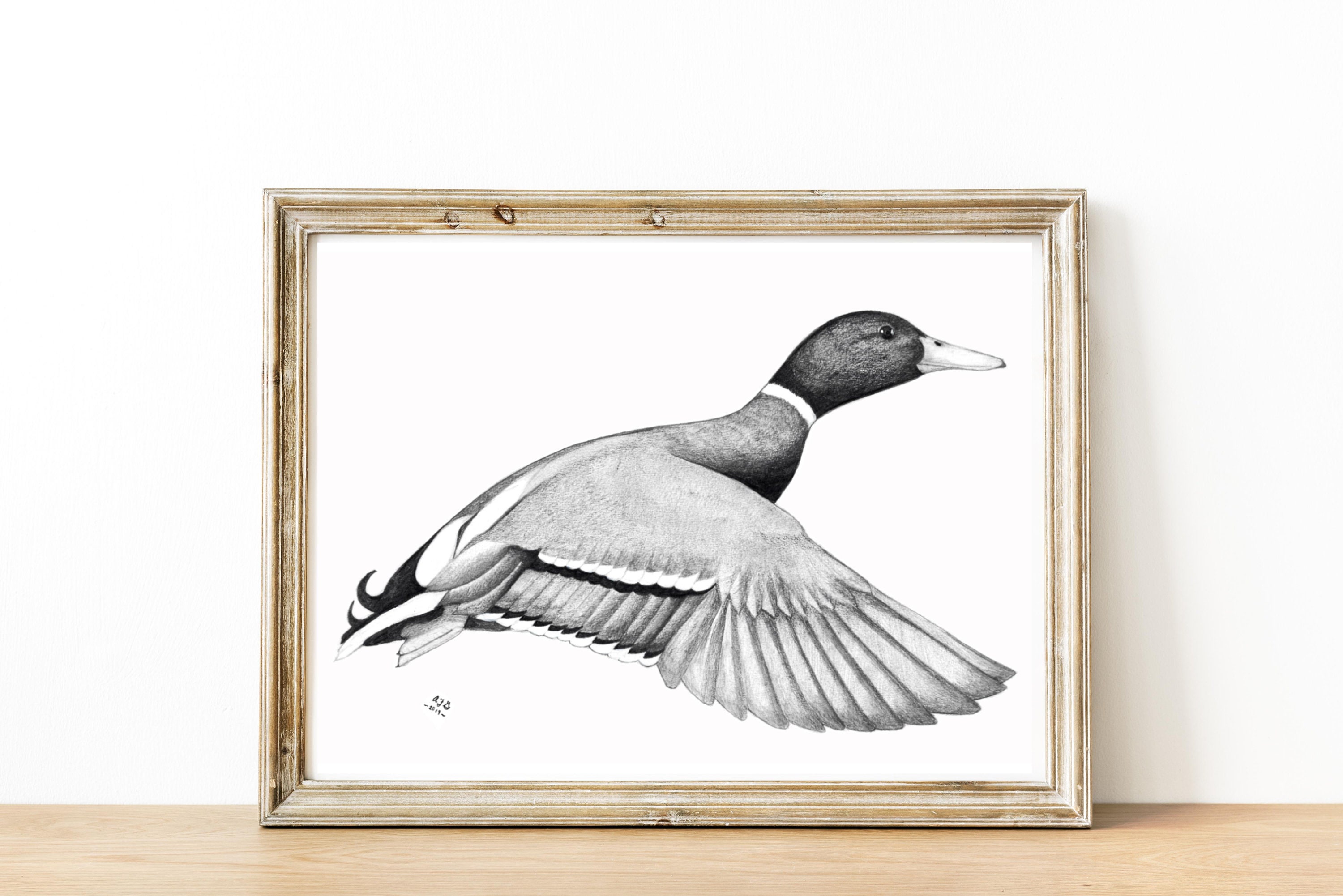 Details more than 154 pencil duck drawing