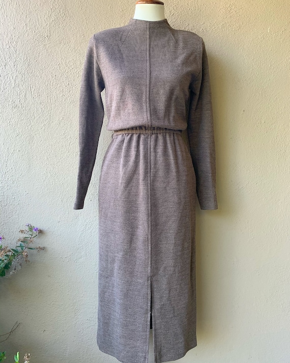 Brown Sweater Dress - image 1