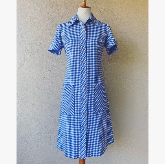 Blue Gingham Dress