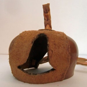 Falconry hoods