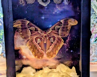 May include: A framed artwork depicting a large moth with detailed wing patterns against a starry night sky. The artwork includes a depiction of the moon phases and illuminated clouds at the bottom, all within a dark wooden frame.