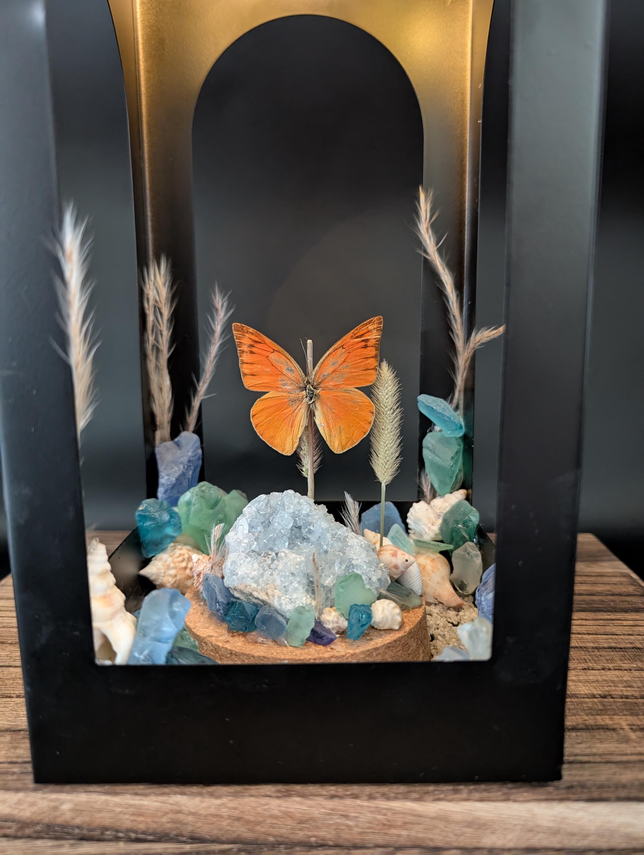 Illuminated Coastal Lantern with Real Butterfly Celestite