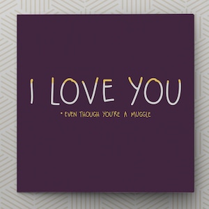 I love you *even though you&#39;re a muggle