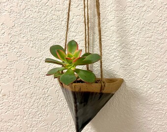 Hängande pyramidplanter