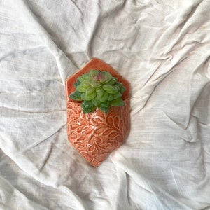 Wall Pocket Planter