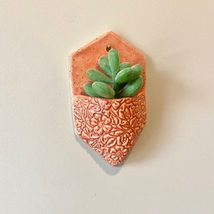 Wall Pocket Planter