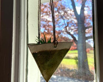 Hängande pyramidplanter