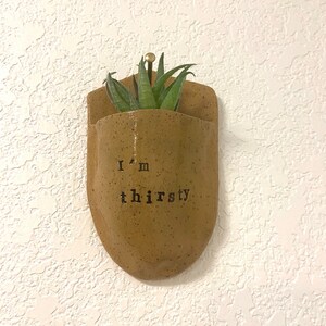 May include: A brown ceramic wall planter with the text "I'm thirsty" on it. A small green succulent plant is growing in the planter.