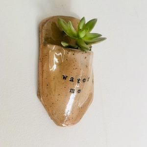 May include: A small, beige ceramic planter with a succulent plant growing inside. The planter has a unique shape and the words "water me" are written on the front.