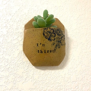 May include: A small, tan ceramic wall planter with a green succulent plant inside. The planter has a blue floral design and the text "I'm thirsty" printed on the front.