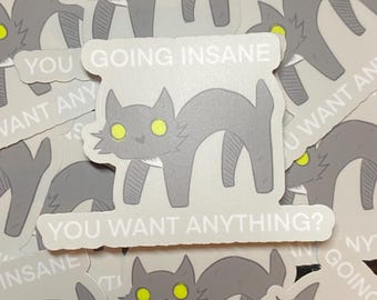 Going Insane Zoomie Cat Sticker | Waterproof 3in
