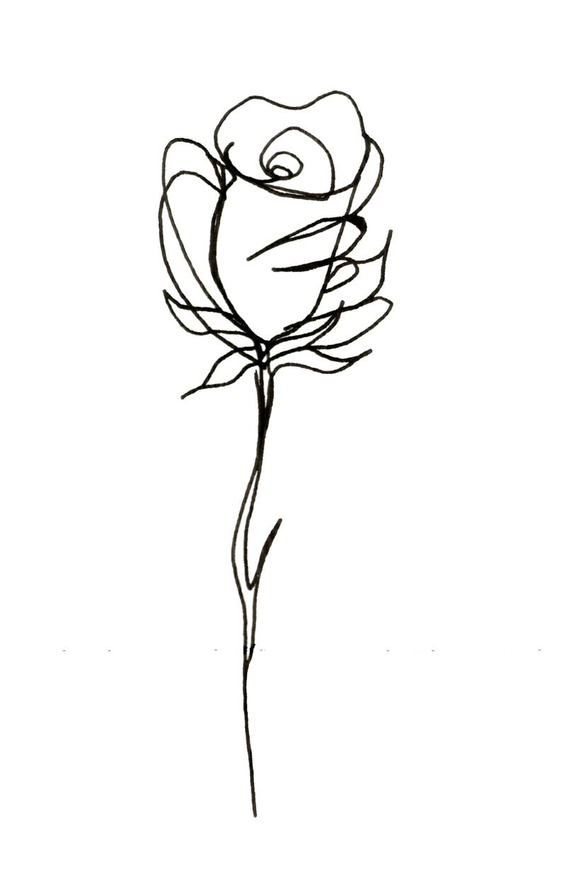 A5 Limited Edition hand drawn print fine line valentines flower monochrome cotton rag paper gift art image 2