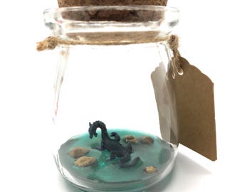 May include: A clear glass jar with a cork stopper, containing a miniature black sea serpent figurine in a teal-colored liquid. The jar has a brown tag attached with twine.