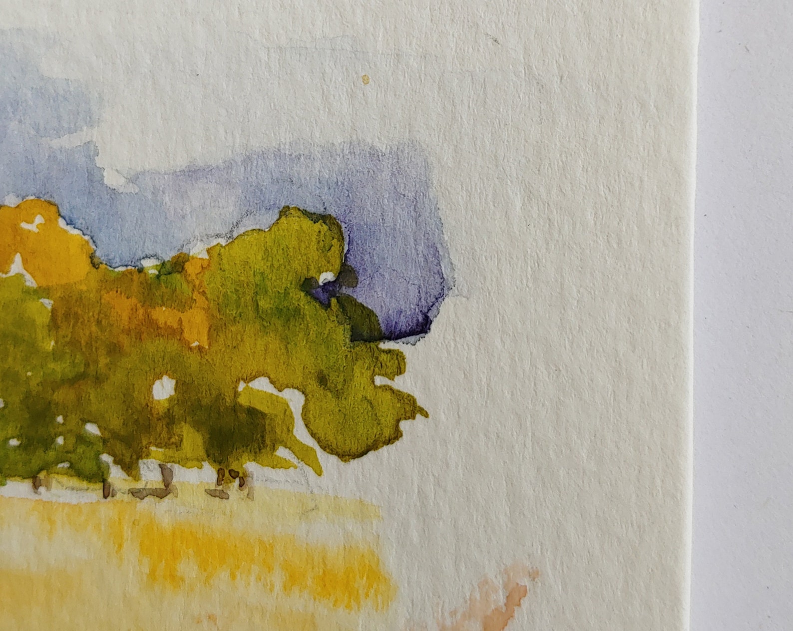 Watercolor Wall Art Large Fine Art Colorful Wall Art Etsy