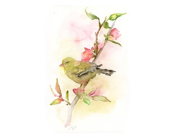 Bird Watercolor Art, Bird Lover Gift, Bird Wall Art, Bird Print, Office Wall Art, Bird Art Print, Small Watercolor Art, Bird Wall Decor