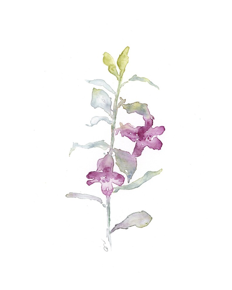 Pode incluir: Pintura em aquarela de uma planta esguia com flores roxas e folhas verdes. A obra de arte apresenta um estilo delicado e minimalista com transi&ccedil;&otilde;es de cores suaves. O caule da planta &eacute; verde suave e as flores s&atilde;o de um roxo vibrante.