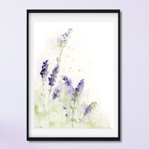 K&ouml;nnte beinhalten: Aquarellmalerei von Lavendelbl&uuml;ten in Violett- und Gr&uuml;nt&ouml;nen auf wei&szlig;em Hintergrund.