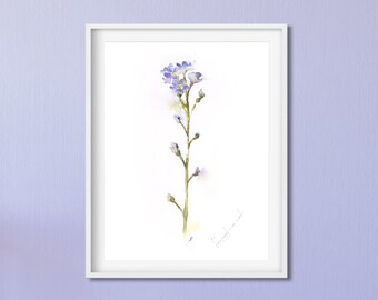 Blue Flower Painting,  Nature Watercolor Print, Large Botanical Art, Abstract Forget me not Painting, Living Room Art, Flower Lover Gift,