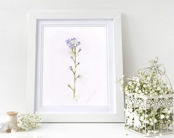 May include: A framed watercolor painting of a single blue forget-me-not flower with green stems and leaves. The painting is on a white background and is signed in the bottom right corner.