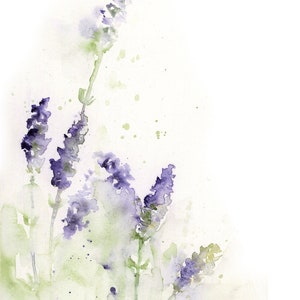 K&ouml;nnte beinhalten: Aquarellmalerei von Lavendelbl&uuml;ten in Violett- und Gr&uuml;nt&ouml;nen. Die Bl&uuml;ten sind in einem lockeren, abstrakten Stil gemalt, mit weichen Kanten und zarten Details. Der Hintergrund ist ein heller Waschgang in Gr&uuml;n und Wei&szlig;.