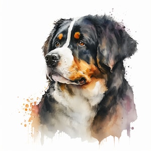 Berner Sennenhund Clipart, 10 hochwertige JPGs, digitaler Download, Aquarell-ClipArt, Kartenherstellung, Papierhandwerk, Bundle-Werbung