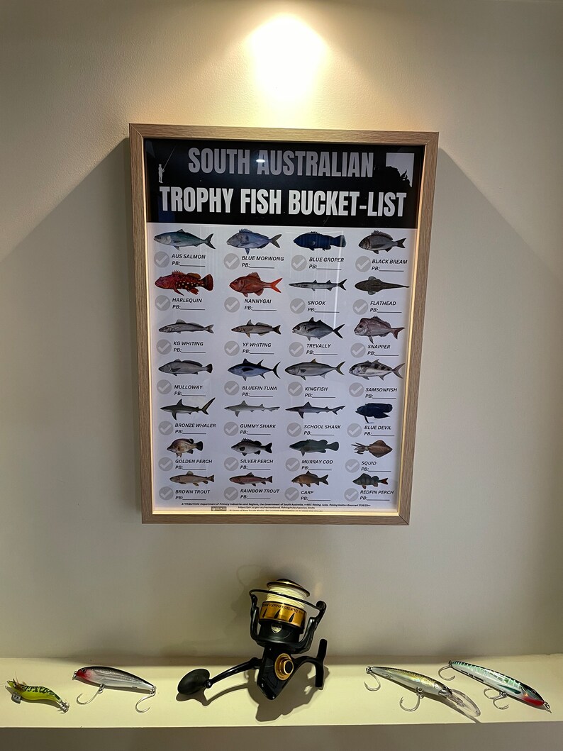 South Australian Trophy Fish Bucket List Framed Poster Etsy Australia