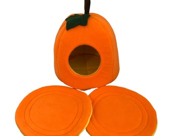 Made to Order Fruit or Vegetable House for guinea pigs, ferrets, hedgehogs, rats, chinchillas, or other small pets.