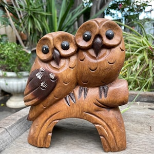 Owl couple on branch