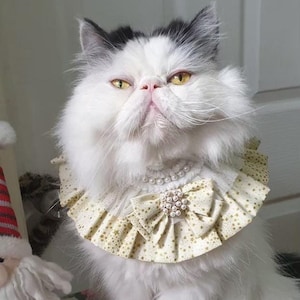 Handmade Gold Star Cotton Pet Collar with Pearl Accessories