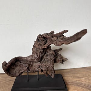 Wortelhouten sculptuur op standaard groot