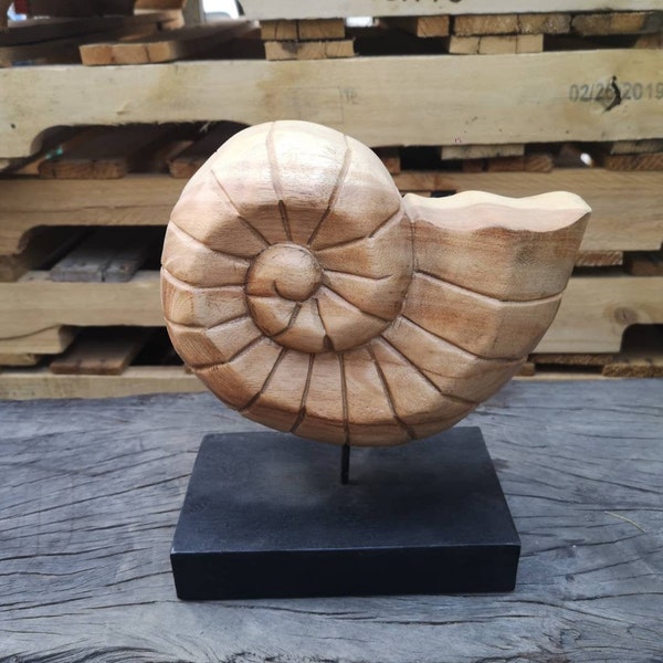 Shell on Stand - Etsy