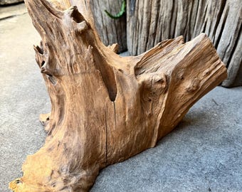 Natural Teak wood brunch #1