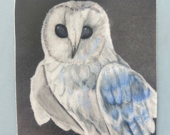 White Winter Owl Art Sticker