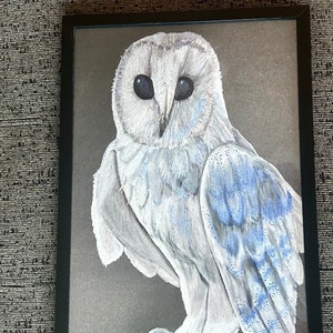White Winter Owl  Fine Art Print