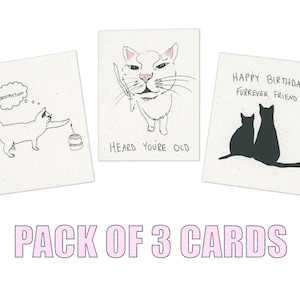 Pacote de cartões de gato/cartões de aniversário engraçados de gato/cartão de aniversário fofo/feliz aniversário/presente de aniversário engraçado/gatos engraçados/gato engraçado/aniversário