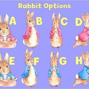 Peter Rabbit Cutout Decoration, Rabbit Baby Shower Decor, Backdrop ...