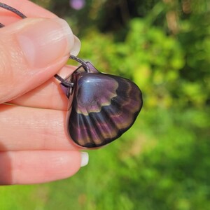 Peut inclure: Pendentif en forme de coquillage aux reflets violets foncés et irisés, suspendu à un cordon noir. Le coquillage présente une surface texturée avec un motif en éventail. Le bijou est tenu par une personne.