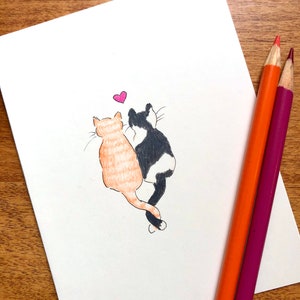 Amour des chatons