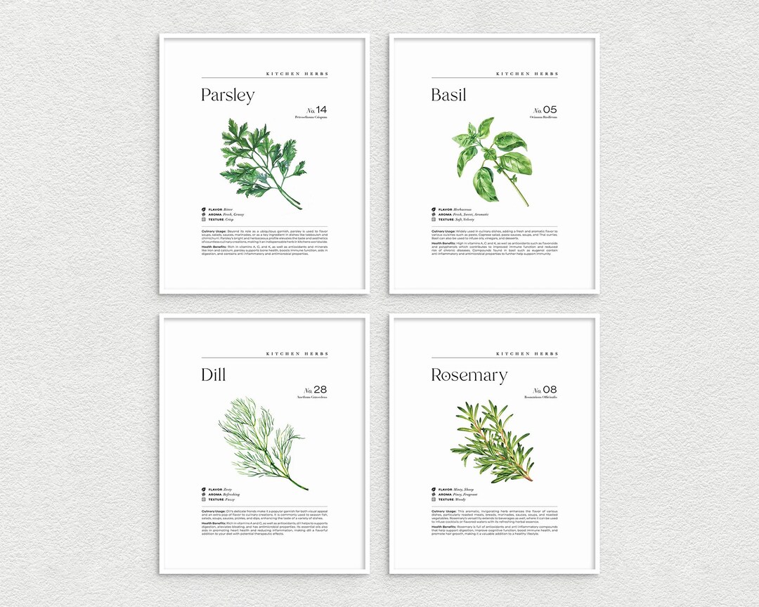 Minimalist Kitchen Herb Wall Print Set, Herb Illustration Wall Decor ...