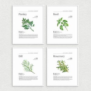 Minimalist Kitchen Herb Wall Print Set, Herb Illustration Wall Decor, Herbs Wall Art, Botanical Wall Art Set, Kitchen Wall Art Decor Prints