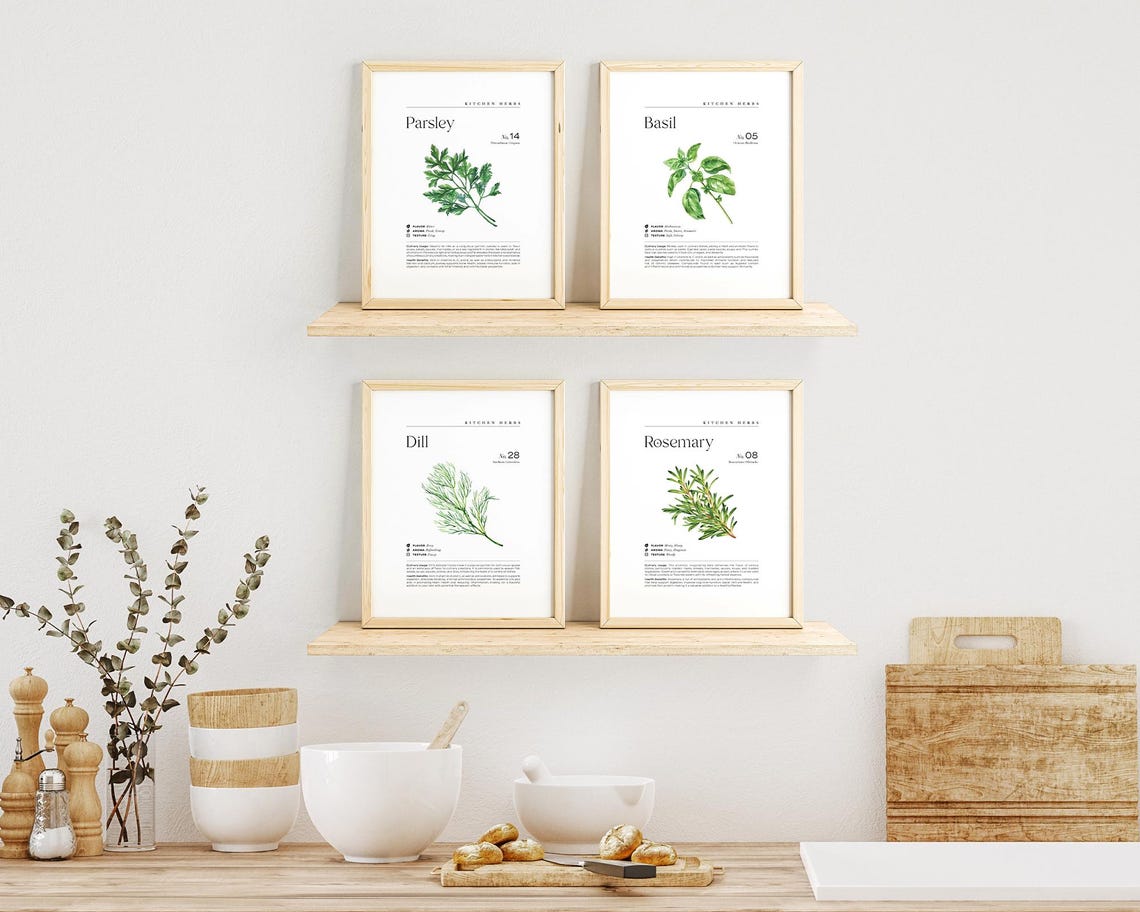 Minimalist Kitchen Herb Wall Print Set, Herb Illustration Wall Decor ...