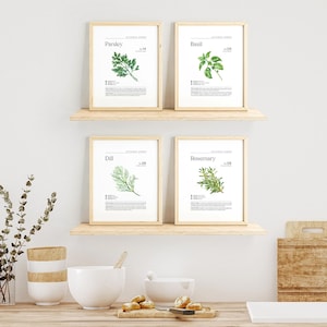 Minimalist Kitchen Herb Wall Print Set, Herb Illustration Wall Decor ...