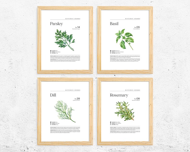 botanical herb prints set of 4 unframed botanical herb... Minimalist Kitchen Herb Wall Print Set, Herb Illustration Wall Decor ...
