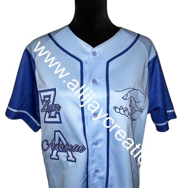 NEW - Amicae Baseball Jersey