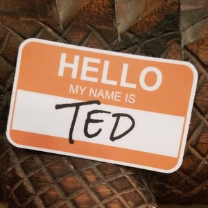 Goose the Band Hello My Name Is Ted Sticker Quality UV Resistant