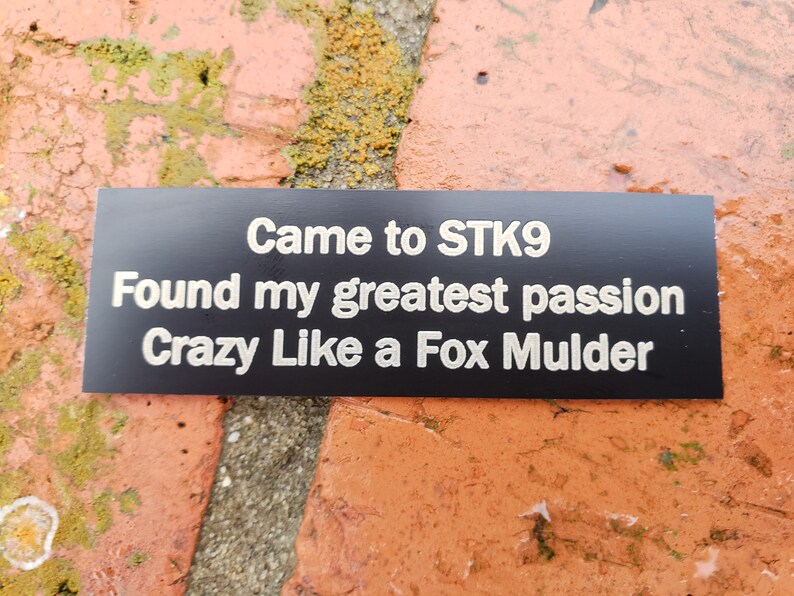 1x3 Personalized Engraved Outdoor Name Plate Outdoor Etsy