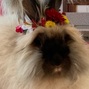 Small Animal Warm Color Flower Crown