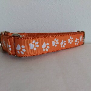 May include: Orange dog collar with white paw prints. The collar is made of nylon and has a metal buckle.